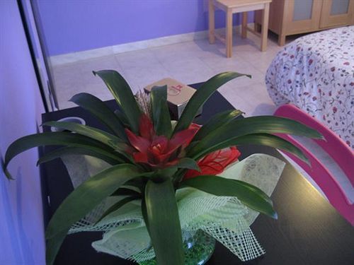 Bed & Breakfast Piazza Vittorio